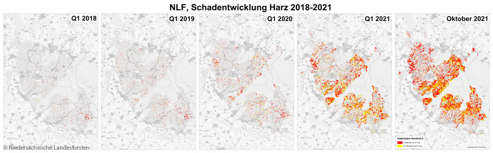 Grafik der Niedersächsische Landesforsten über die Schadenentwicklung im Harz von 2018 bis 2021