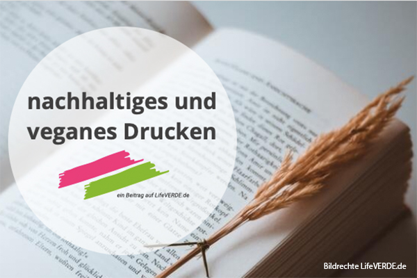 Ein aufgeschlagenes Buch