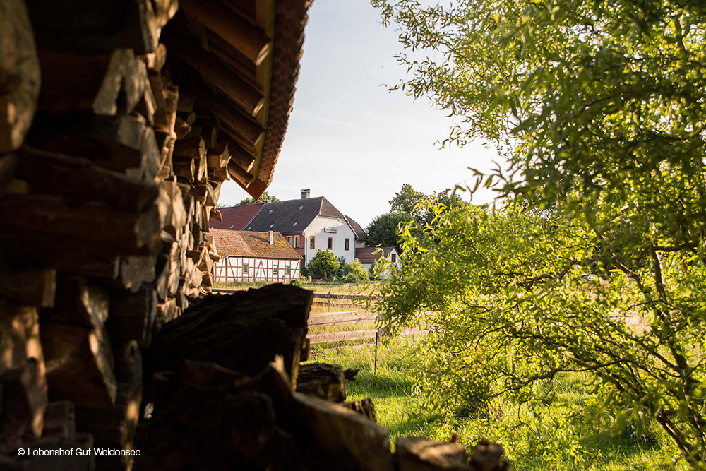 Foto vom Lebenshof Gut Weidensee in Mühlhausen/Thüringen.